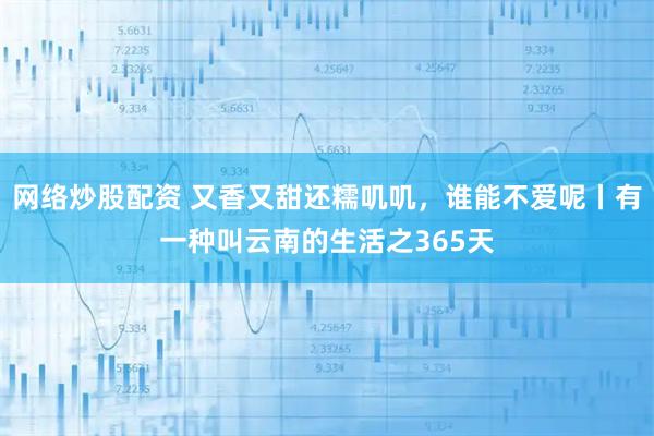 网络炒股配资 又香又甜还糯叽叽，谁能不爱呢丨有一种叫云南的生活之365天