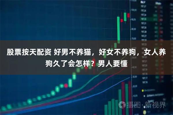 股票按天配资 好男不养猫,好女不养狗,女人养狗久了会怎样?男人要懂