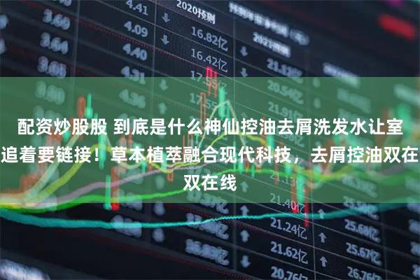 配资炒股股 到底是什么神仙控油去屑洗发水让室友追着要链接！草本植萃融合现代科技，去屑控油双在线