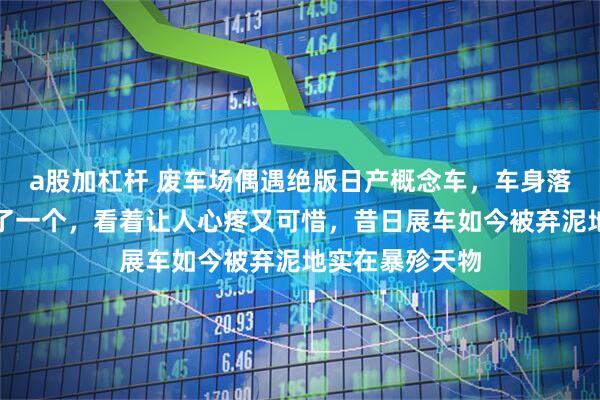 a股加杠杆 废车场偶遇绝版日产概念车，车身落满灰尘轮胎掉了一个，看着让人心疼又可惜，昔日展车如今被弃泥地实在暴殄天物