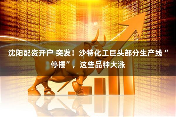 沈阳配资开户 突发！沙特化工巨头部分生产线“停摆”，这些品种大涨
